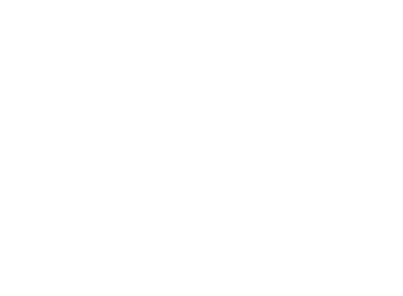 TINDLI_logo