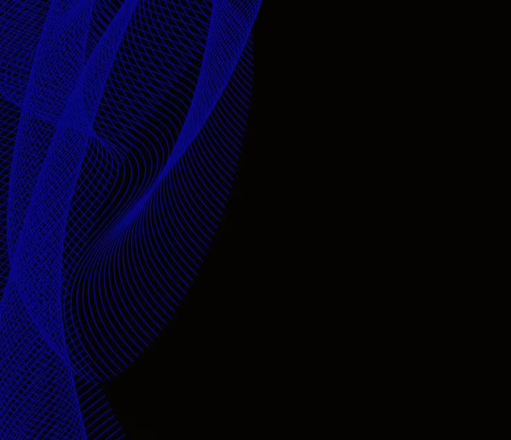 custom web development service